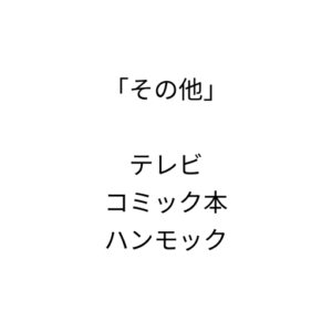 Villa Classi Karu について (2)